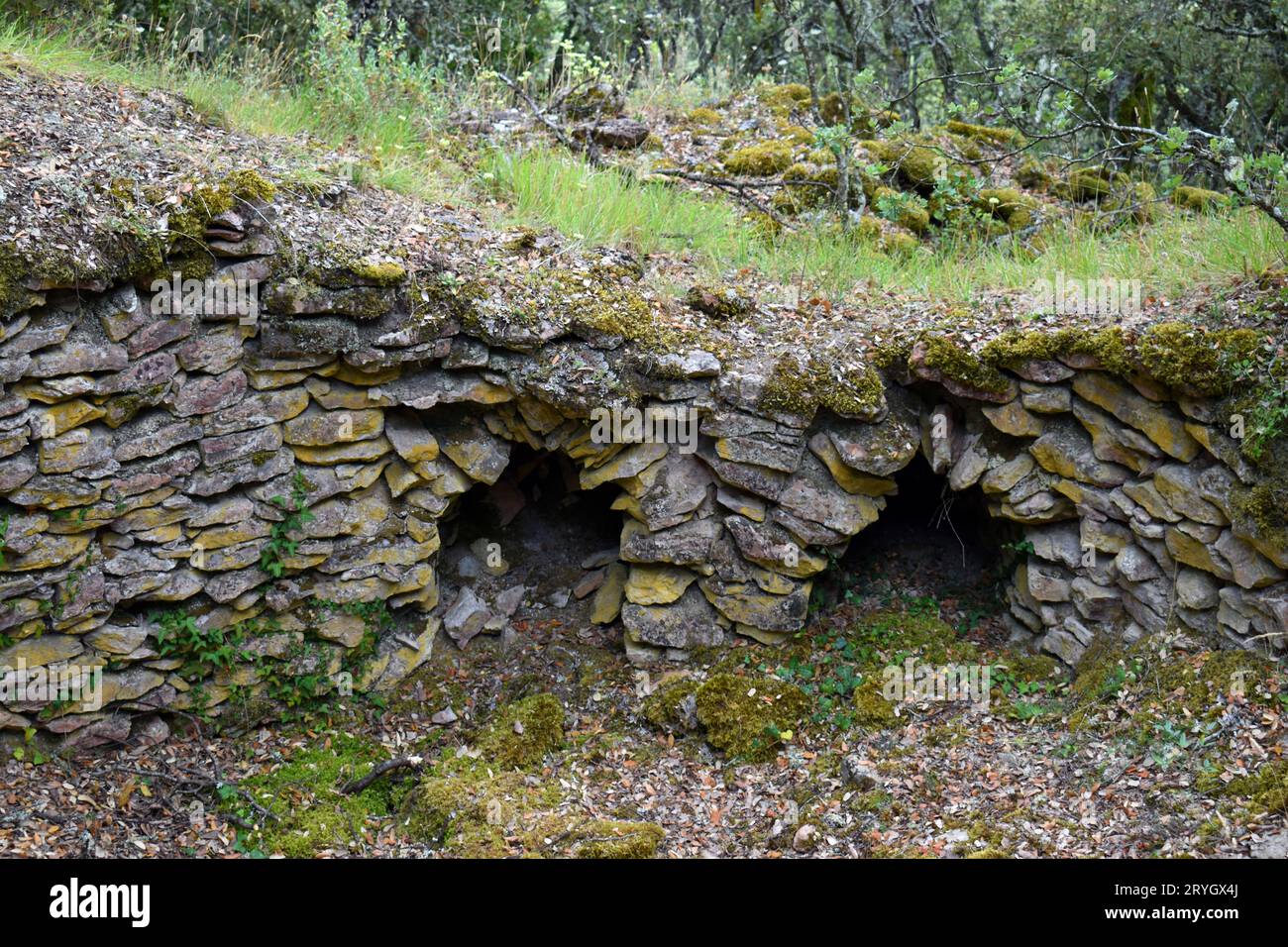 Vecchio forno per calce a Los Castros de lastra. Età del ferro. Valdegov’a.. Alava. Paesi baschi. Spagna. Foto Stock