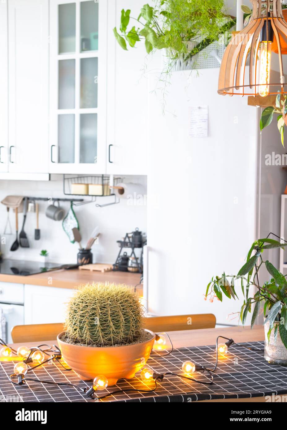 Moderna cucina rustica di colore bianco chiaro decorata con piante in vaso e utensili da cucina in stile loft. Interno di una casa con piante da casa Foto Stock