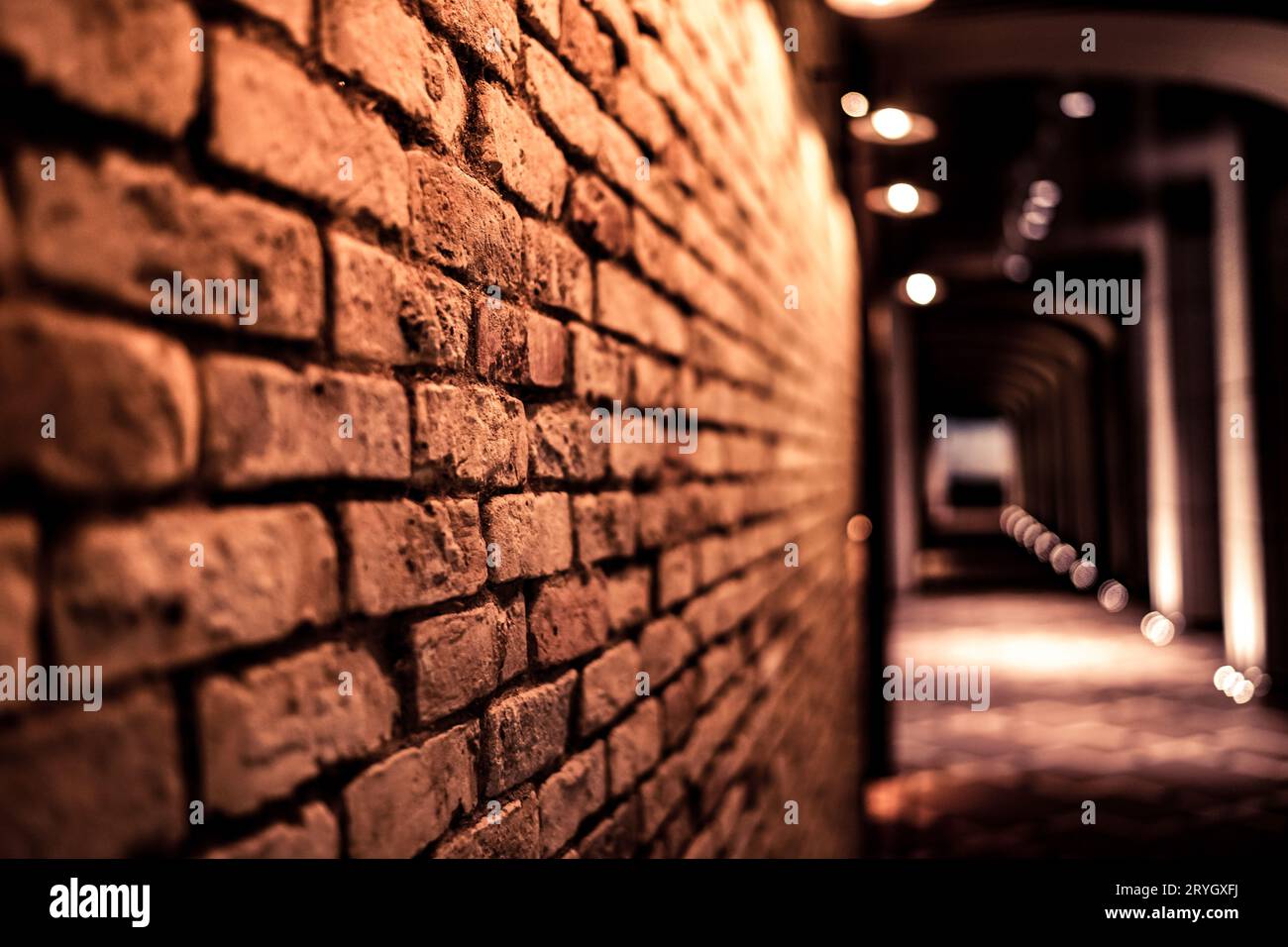 Muro di mattoni (materiale di sfondo) Foto Stock