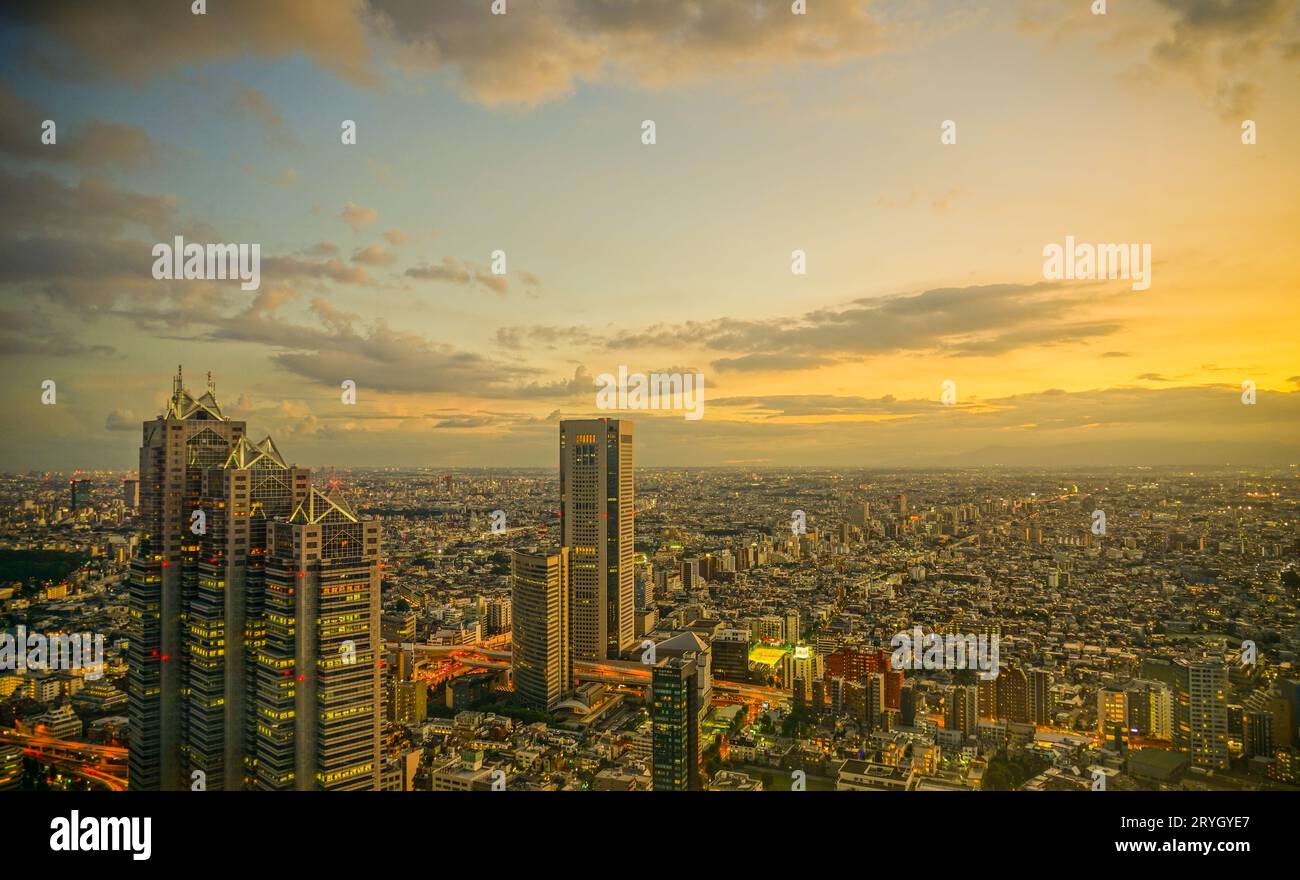 Shinjuku di paesaggio della città e tramonto visibile dall'osservatorio Del Tokyo Metropolitan Government Building Foto Stock