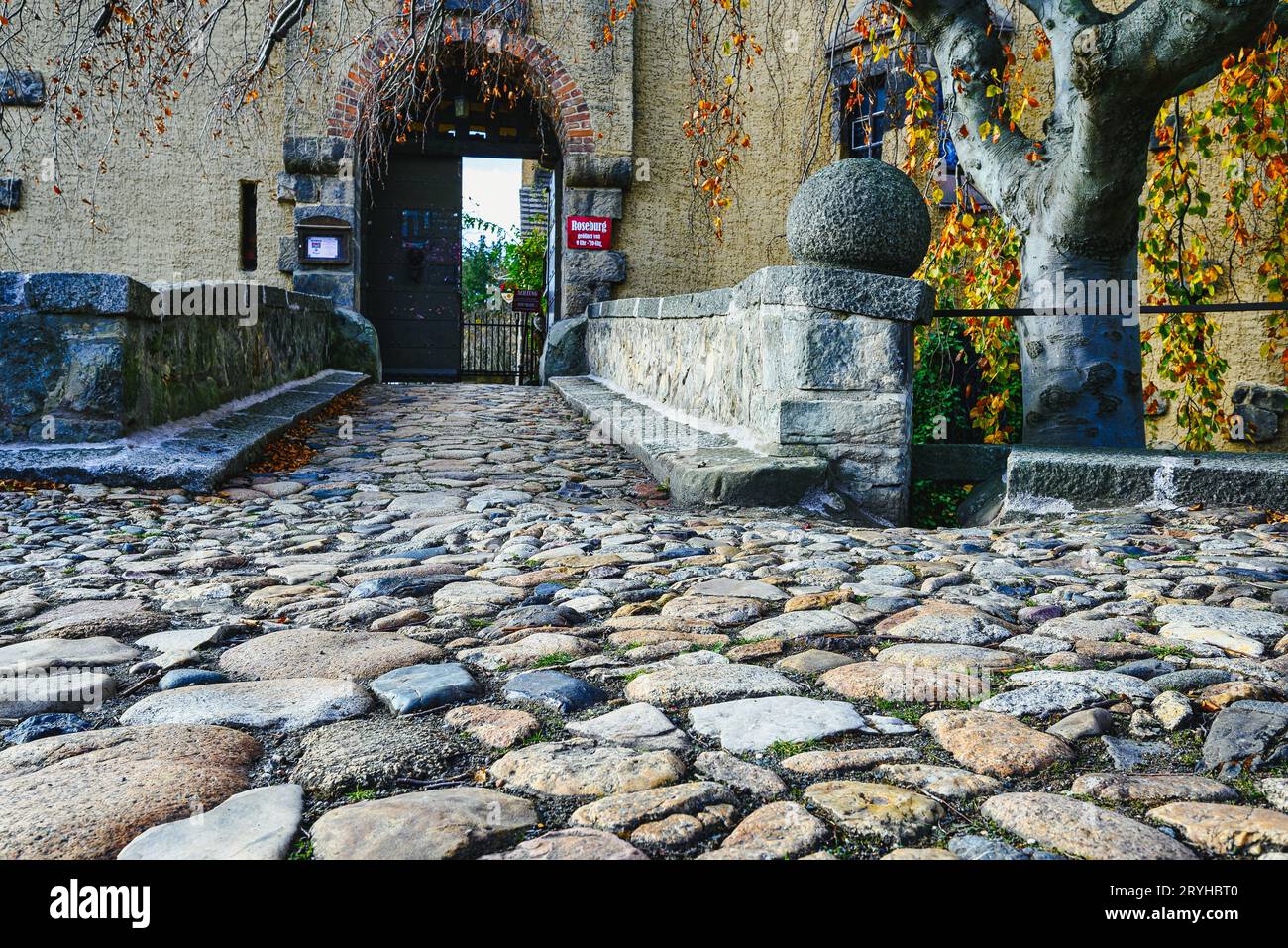 Castello di Roseburg vicino a Ballenstedt in Sassonia-Anhalt Foto Stock