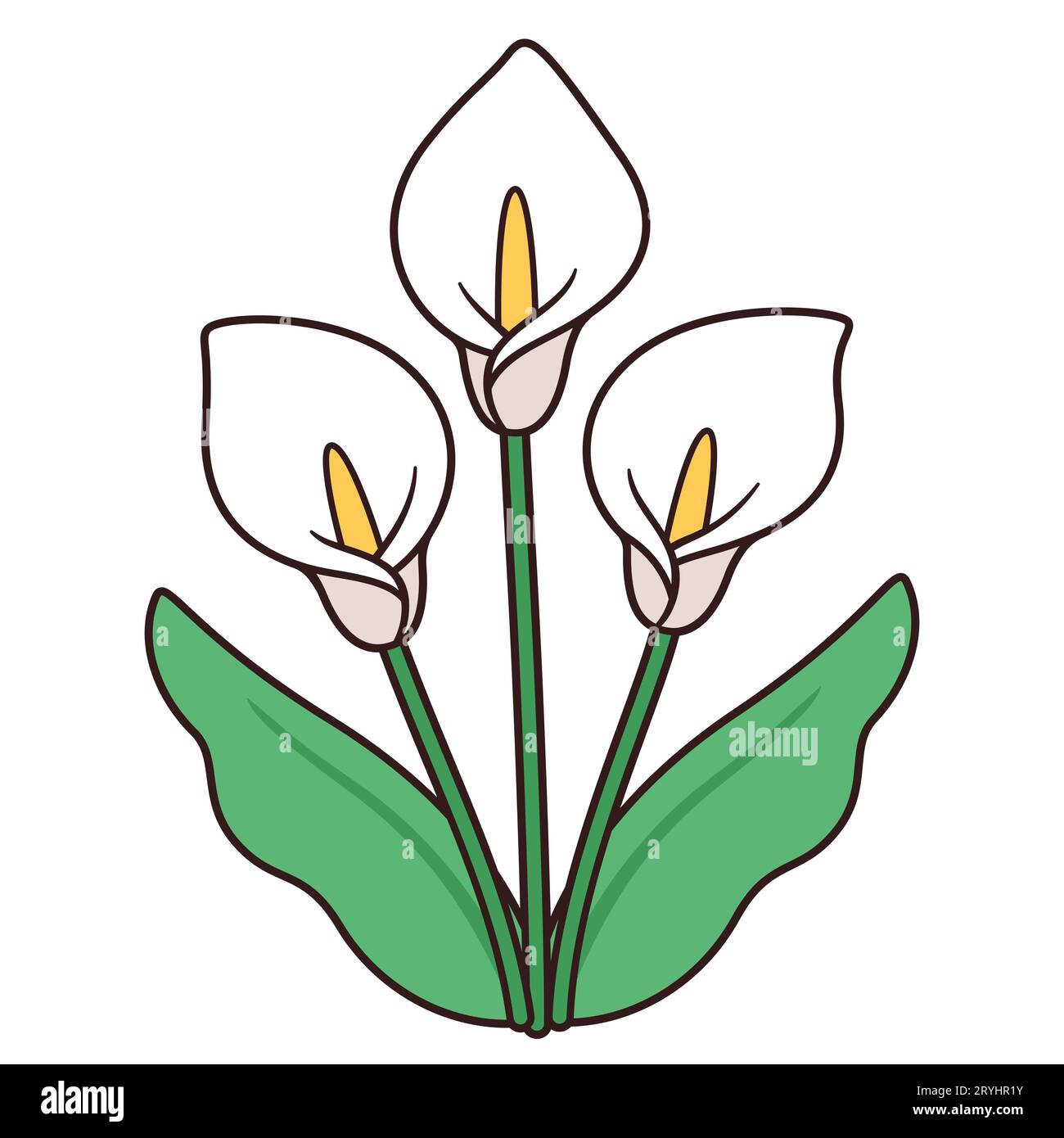 Disegno bouquet di fiori di giglio calla, design semplice ed elegante. Tre gigli bianchi con foglie, illustrazione vettoriale isolata. Illustrazione Vettoriale