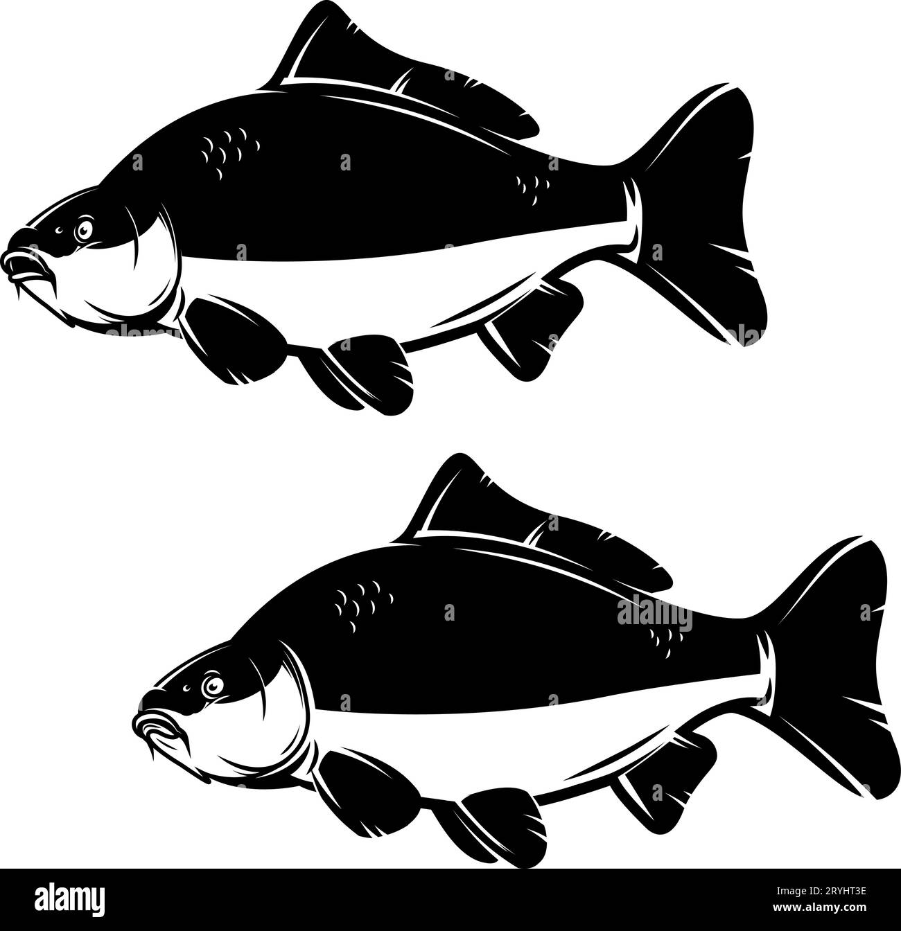 Immagine di carpa di pesce in stile monocromatico. Carpe isolate su sfondo bianco Illustrazione Vettoriale