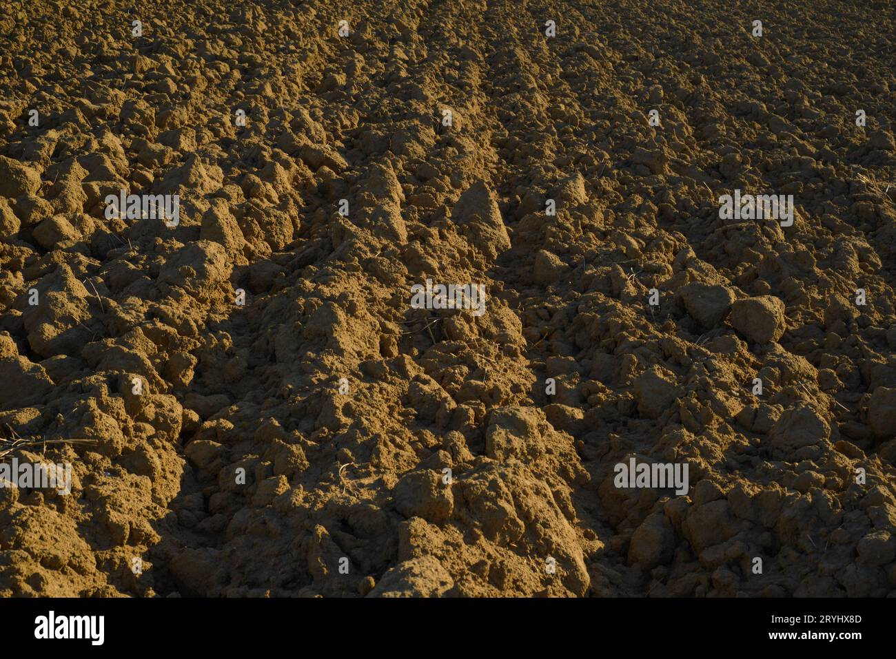 Terreno sciolto dopo l'aratura in un campo in estate in Toscana, Italia Foto Stock