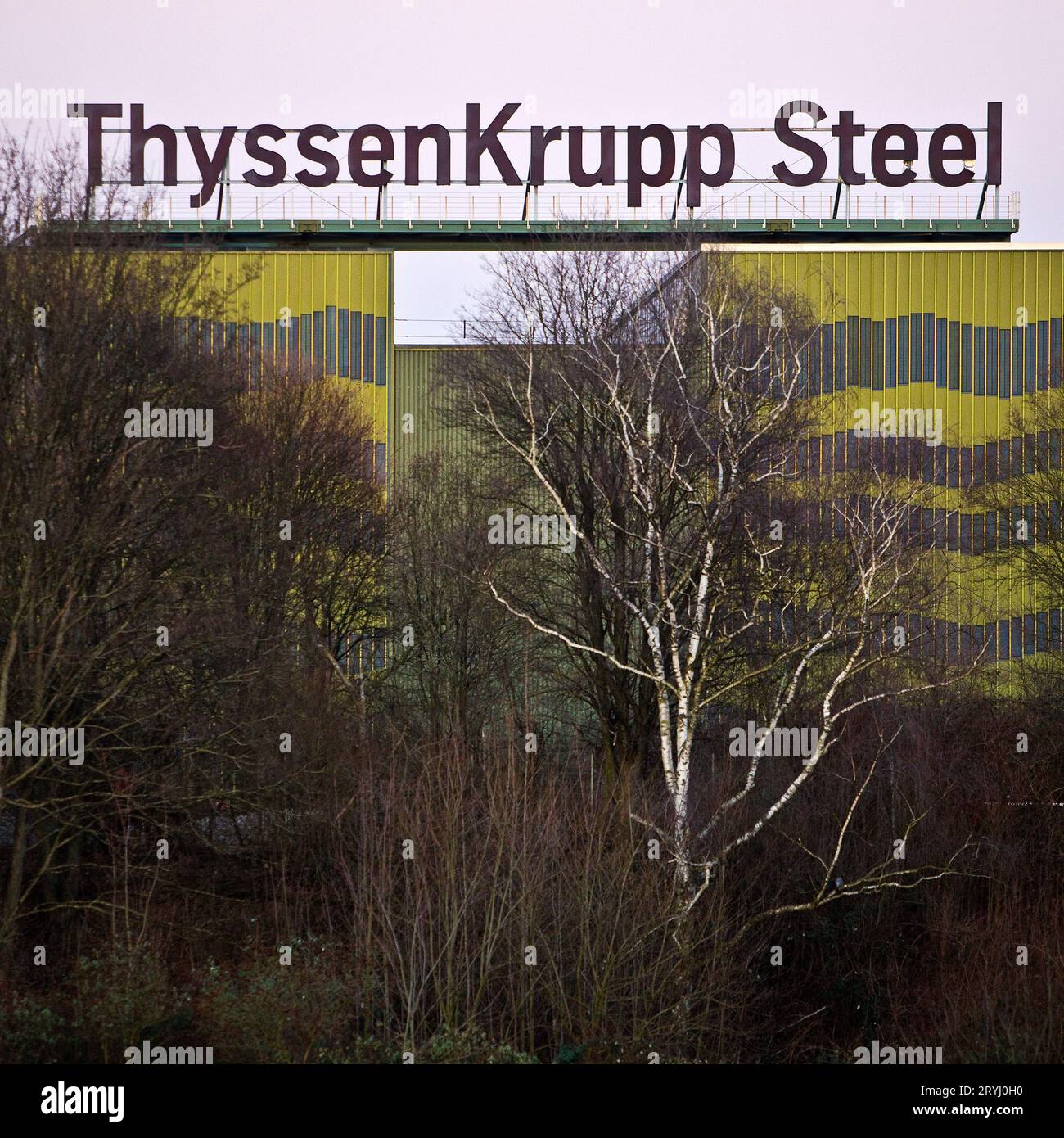 ThyssenKrupp Steel WSA hot strip slitting line, Duisburg, Renania settentrionale-Vestfalia, Germania, Europa Foto Stock