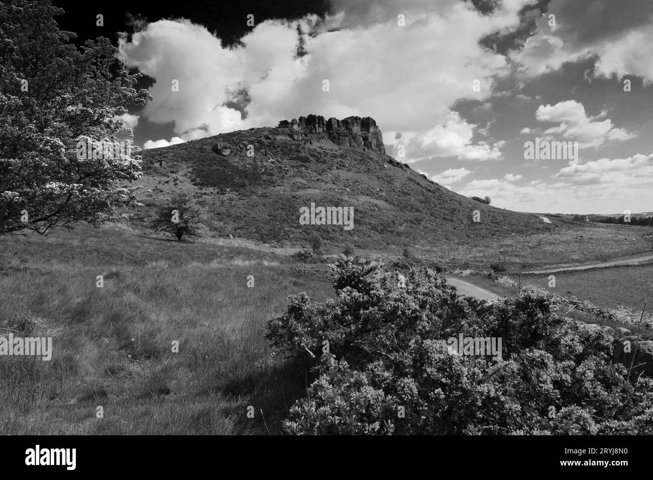 Vista su Hen Cloud Rock, The Roaches Rocks, Upper Hulme, Staffordshire, Inghilterra, REGNO UNITO Foto Stock