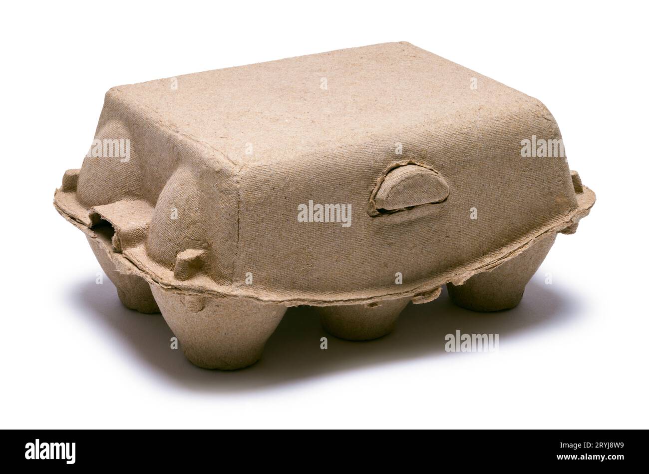 Scatolone per uovo piccolo chiuso su bianco. Foto Stock