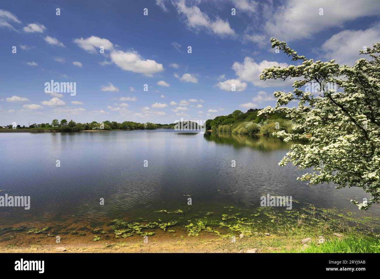 Vista sul Bosley Reservoir, Bosley Village, Cheshire, Inghilterra, Regno Unito Foto Stock