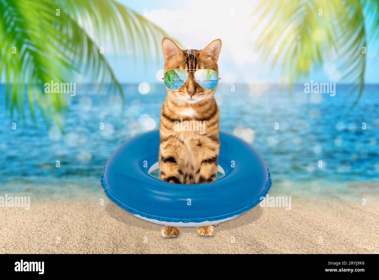 Gatto estivo con occhiali da sole sullo sfondo del mare. Foto Stock