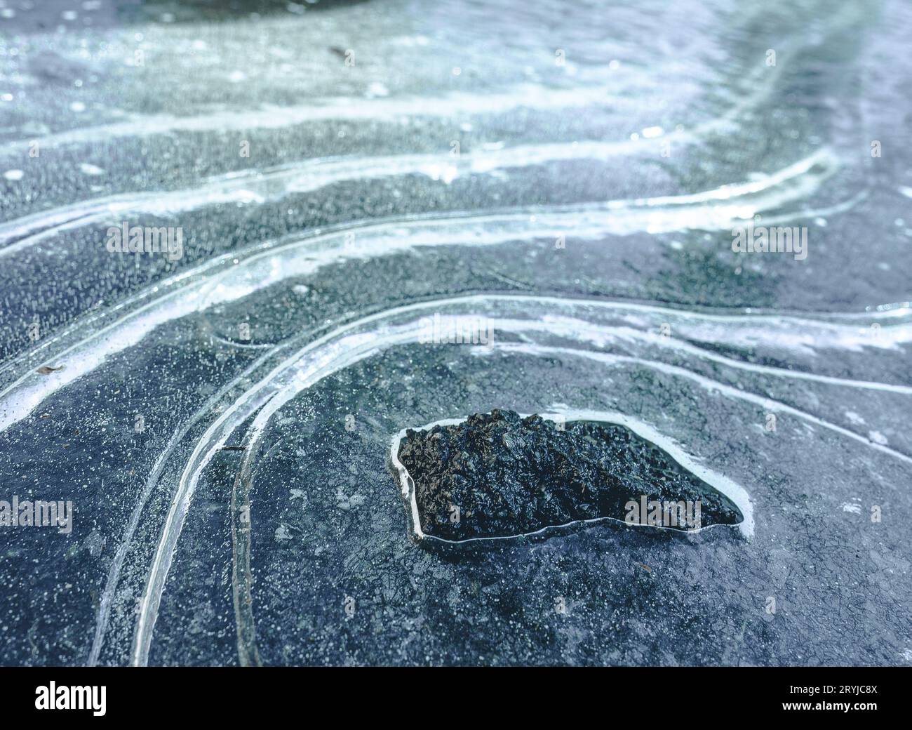 Formazione rocciosa scura e aspra in mezzo a un paesaggio ghiacciato di curve ghiacciate e neve. Contrasto dei colori nero, bianco e blu c Foto Stock