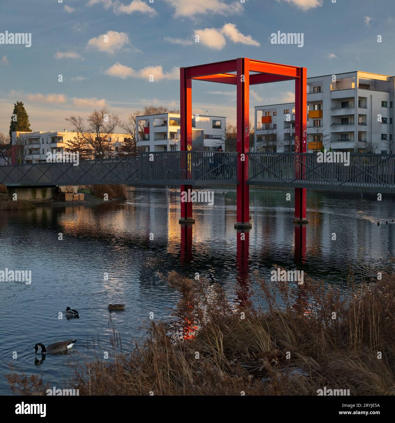 Ponte in bicicletta sul Niederfeldsee con architettura moderna, Radschnellweg Ruhr RS 1, Essen Foto Stock