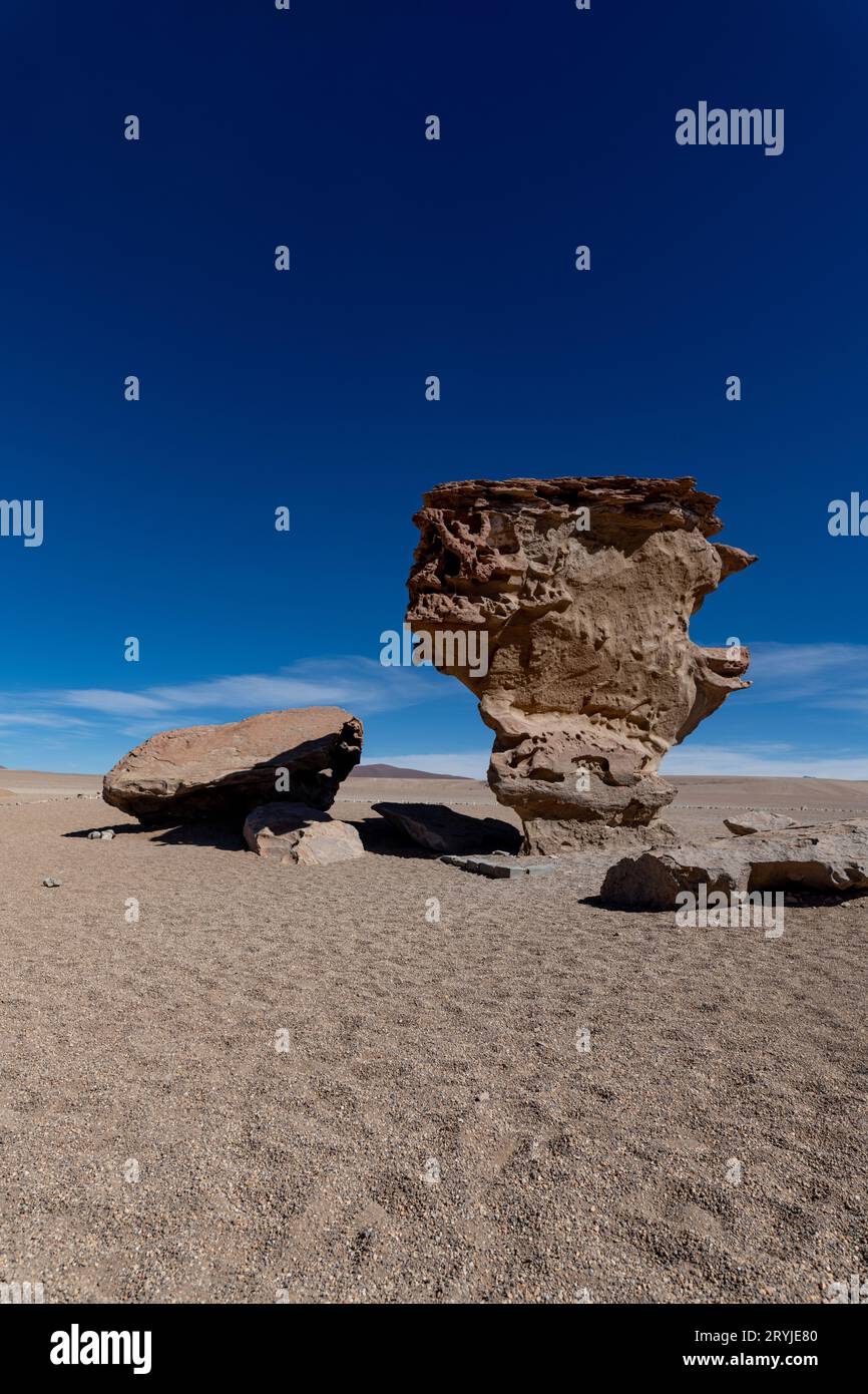 Albero di pietra nell'altiplano boliviano Foto Stock