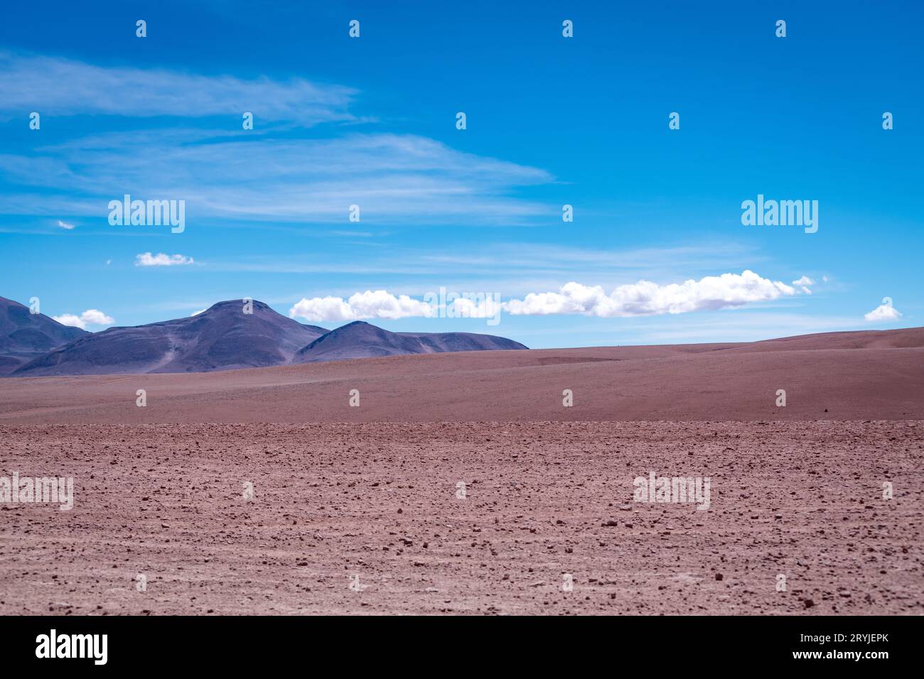 Paesaggio desertico dell'altiplano boliviano Foto Stock