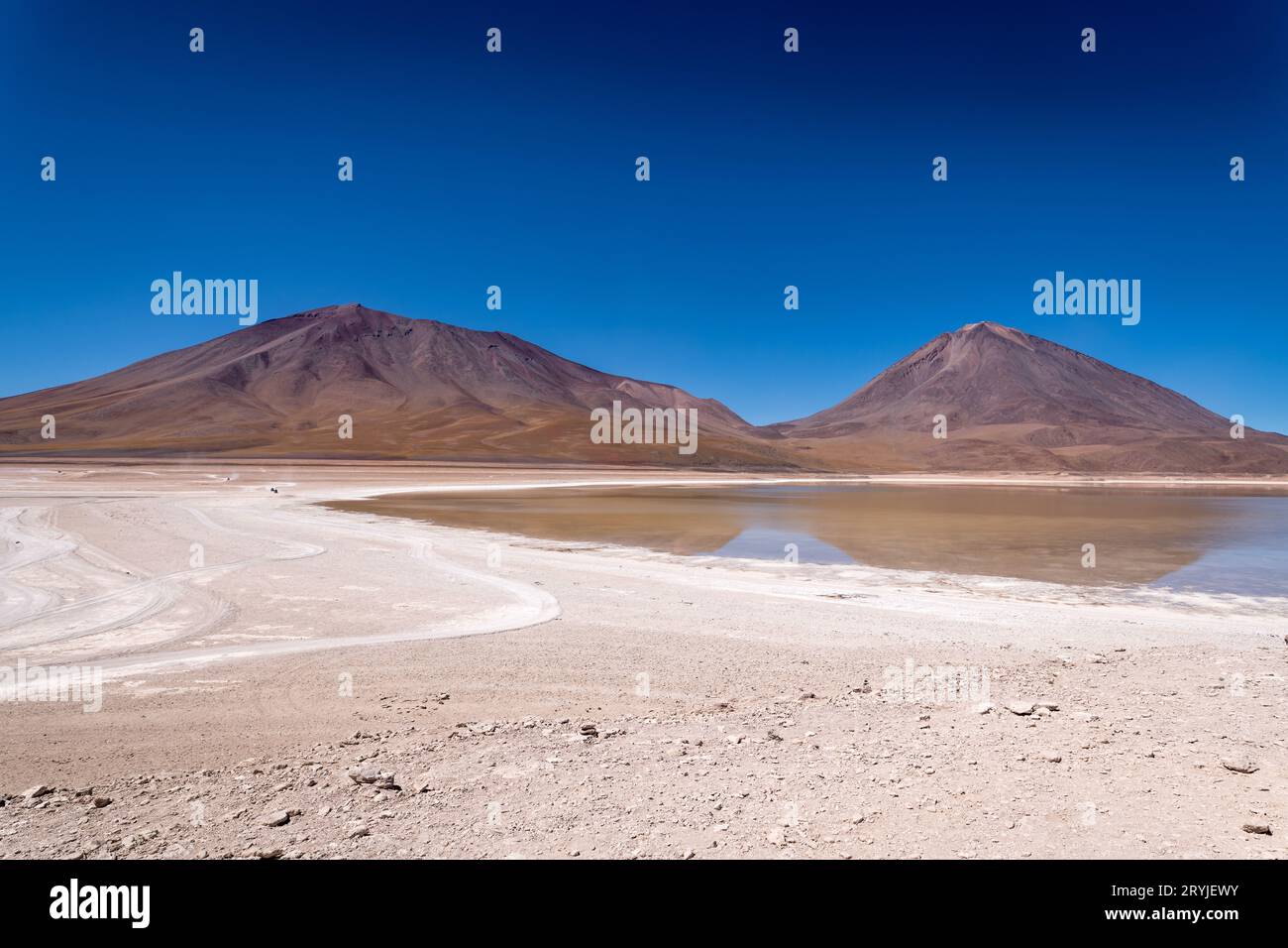 Paesaggio desertico dell'altiplano boliviano Foto Stock