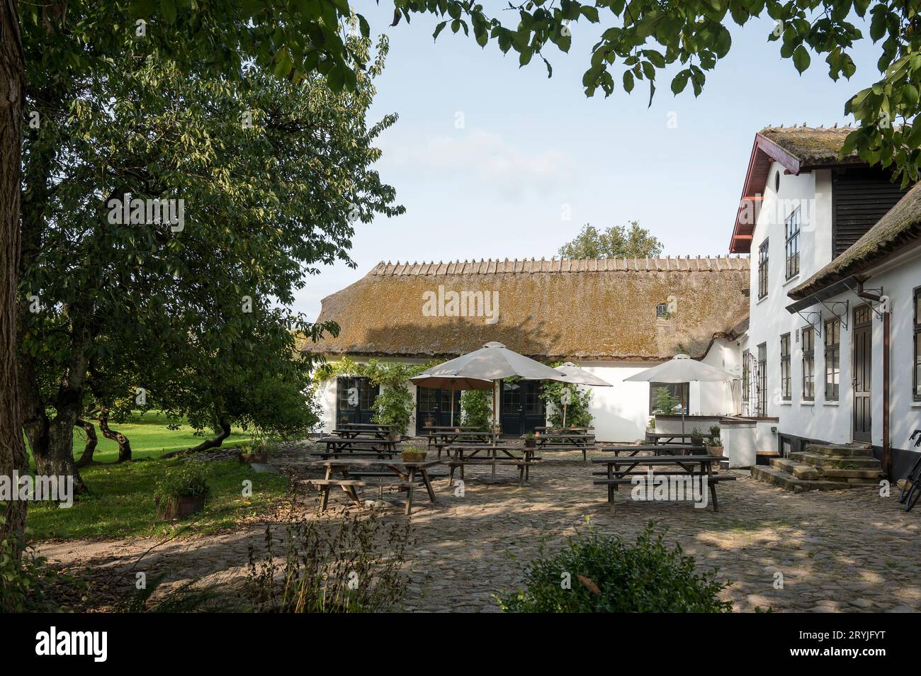 The Back yard of the Mollegard Cafe, Ersum Abbey, Danimarca, 30 settembre 2023 Foto Stock