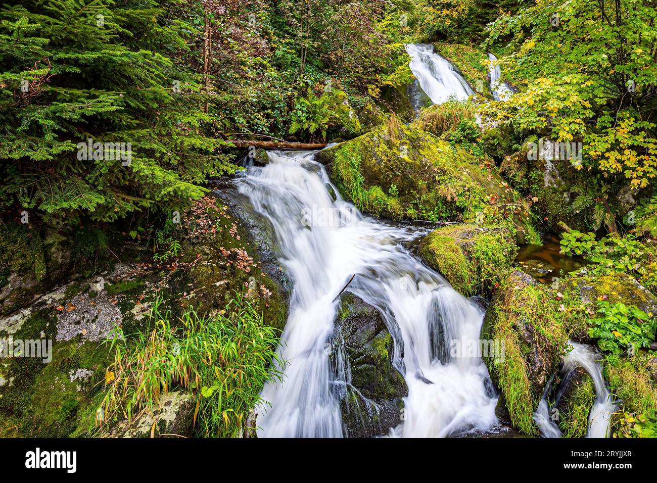 I potenti getti della cascata Foto Stock