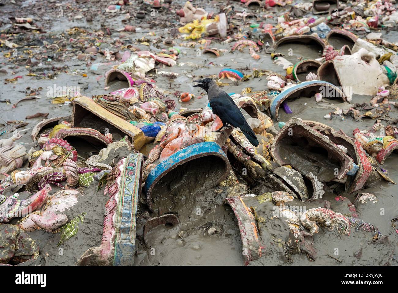 Calcutta, Bengala Occidentale, India. 1 ottobre 2023. Un corvo siede su un idolo di fango rotto del signore Ganesha (dio a testa di elefante nella mitologia indù) che è stato gettato nella spazzatura sulla riva del fiume Gange a Calcutta, in India. I cittadini indiani prendono parte alla campagna di pulizia guidata dal primo ministro indiano Narendra modi davanti a Gandhi Jayanti per celebrare l'anniversario della nascita del Mahatma Gandhi (nazionalista anti coloniale). Persone di vari campi, unirsi a questa missione con la promessa di mantenere pulito l'ambiente. (Immagine di credito: © JIT Chattopadhyay/SOPA Images via ZUMA Press Wire) USO EDITORIALE ONL Foto Stock