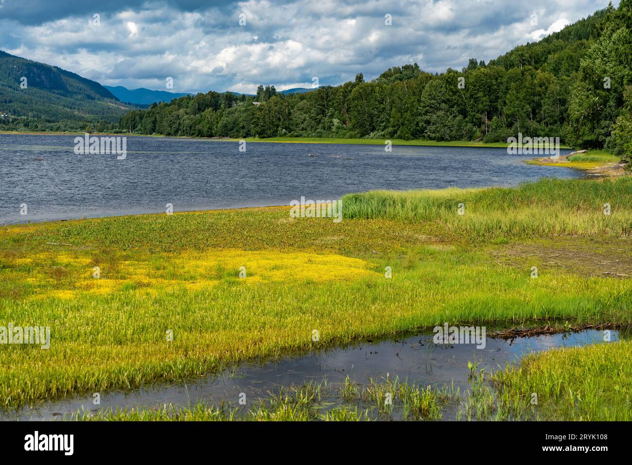 Riserva naturale del delta di Dokka, Norvegia Foto Stock