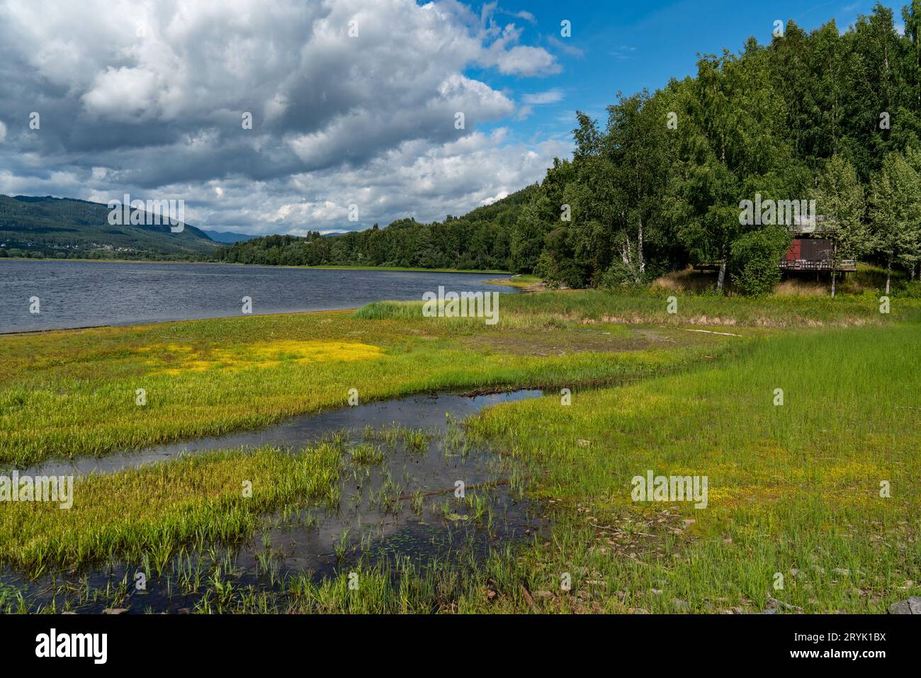 Riserva naturale del delta di Dokka, Norvegia Foto Stock