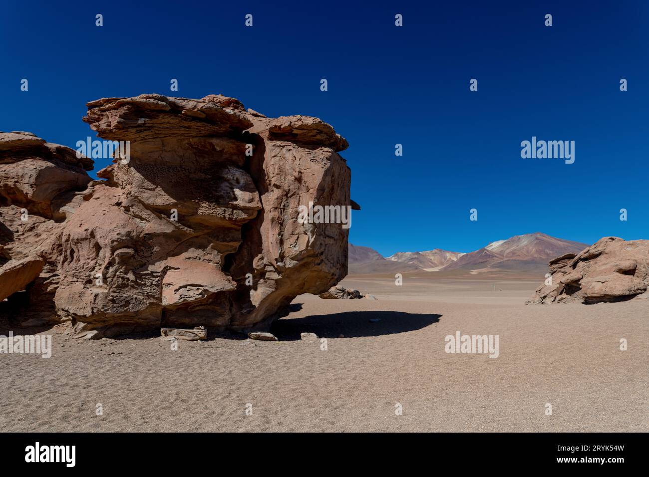 Albero di pietra nell'altiplano boliviano Foto Stock
