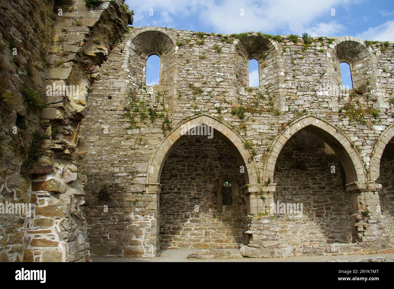 Rovine dell'abbazia di Jerpoint, un monastero medievale vicino a Thomastown, in Irlanda Foto Stock