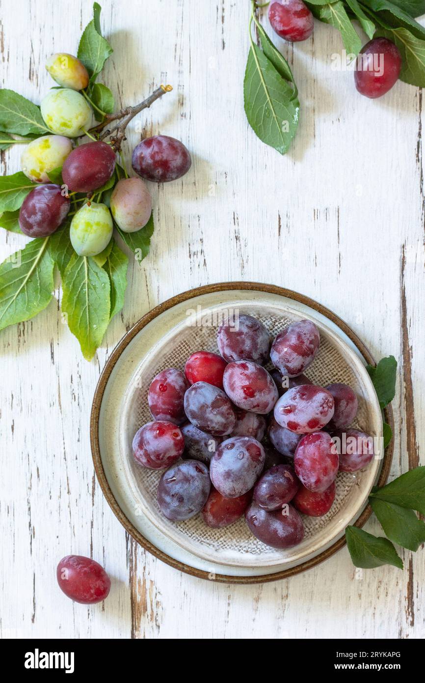 Cibo di stagione di fondo. Prugne succose mature in una ciotola su un rustico tavolo di legno. Vista dall'alto in piano. Spazio di copia. Foto Stock
