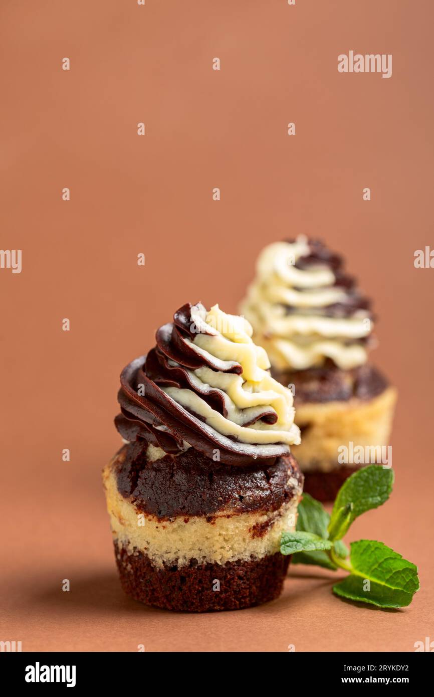 Cupcake di marmo con crema alla vaniglia al cioccolato. Foto Stock
