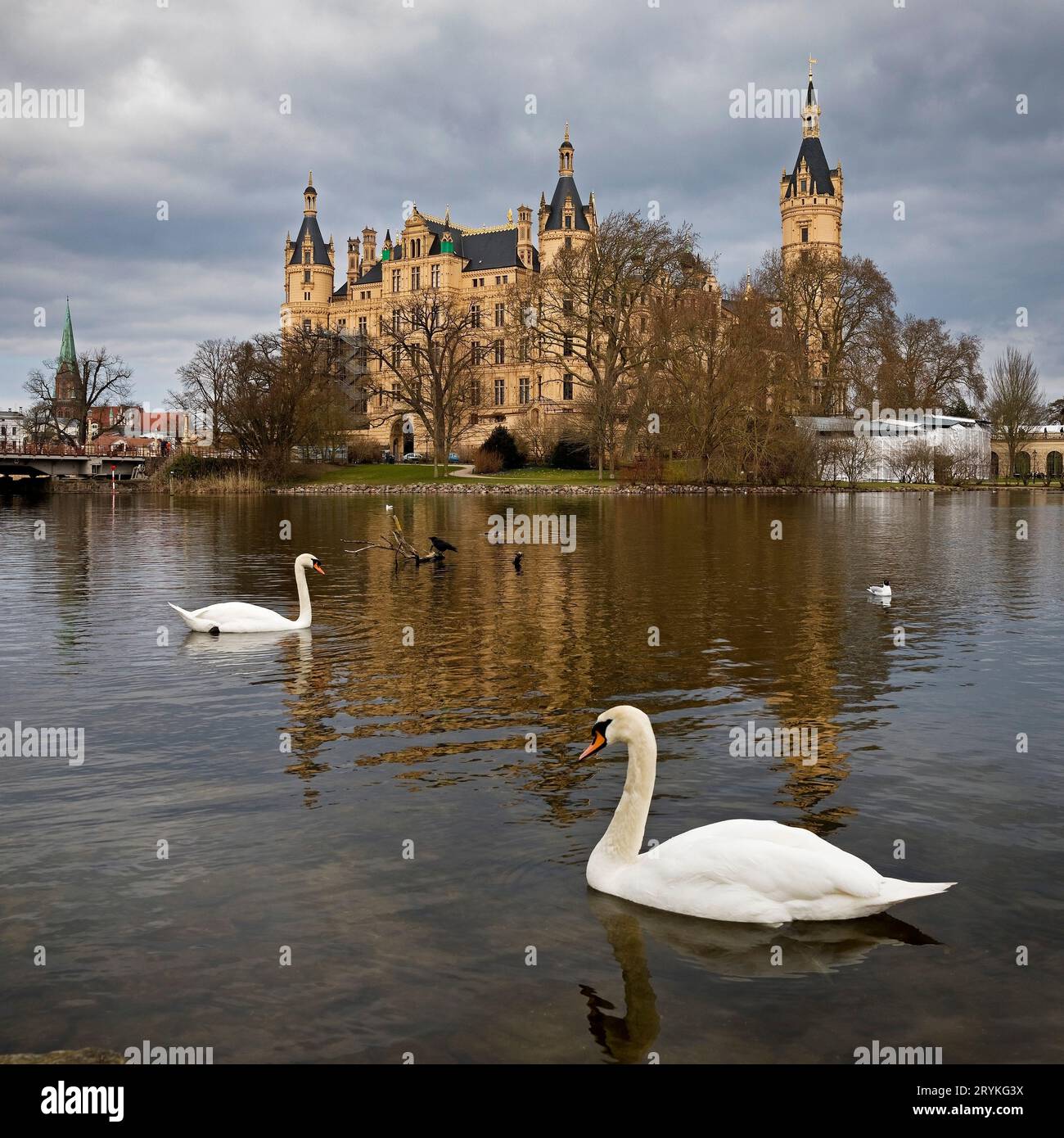 Castello di Schwerin con due cigni Hoecker, Schwerin, Meclemburgo-Pomerania occidentale, Germania, Europa Foto Stock