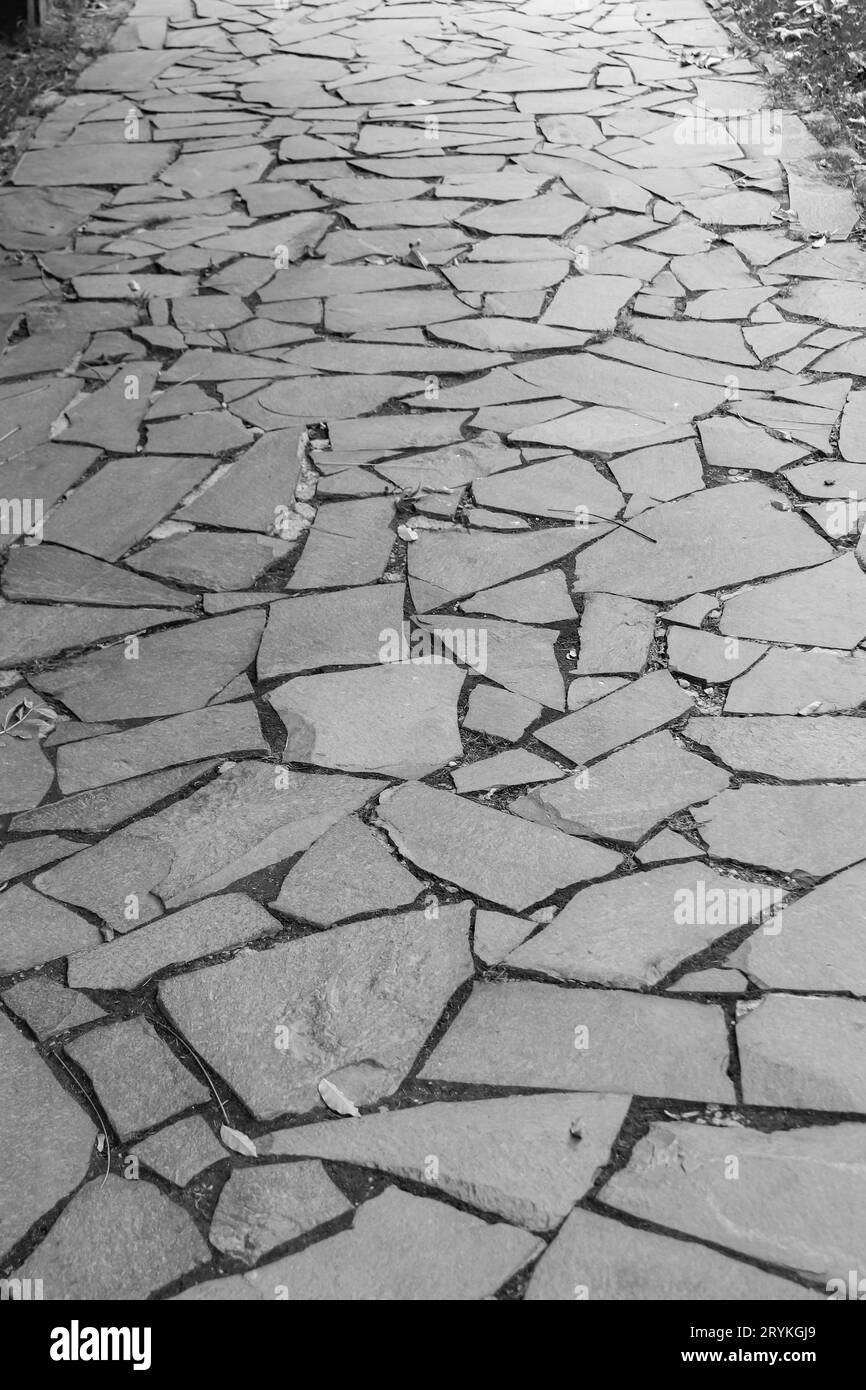 Sentiero a piedi fatto di pezzi di pietra spezzati con erba che cresce nel mezzo Foto Stock