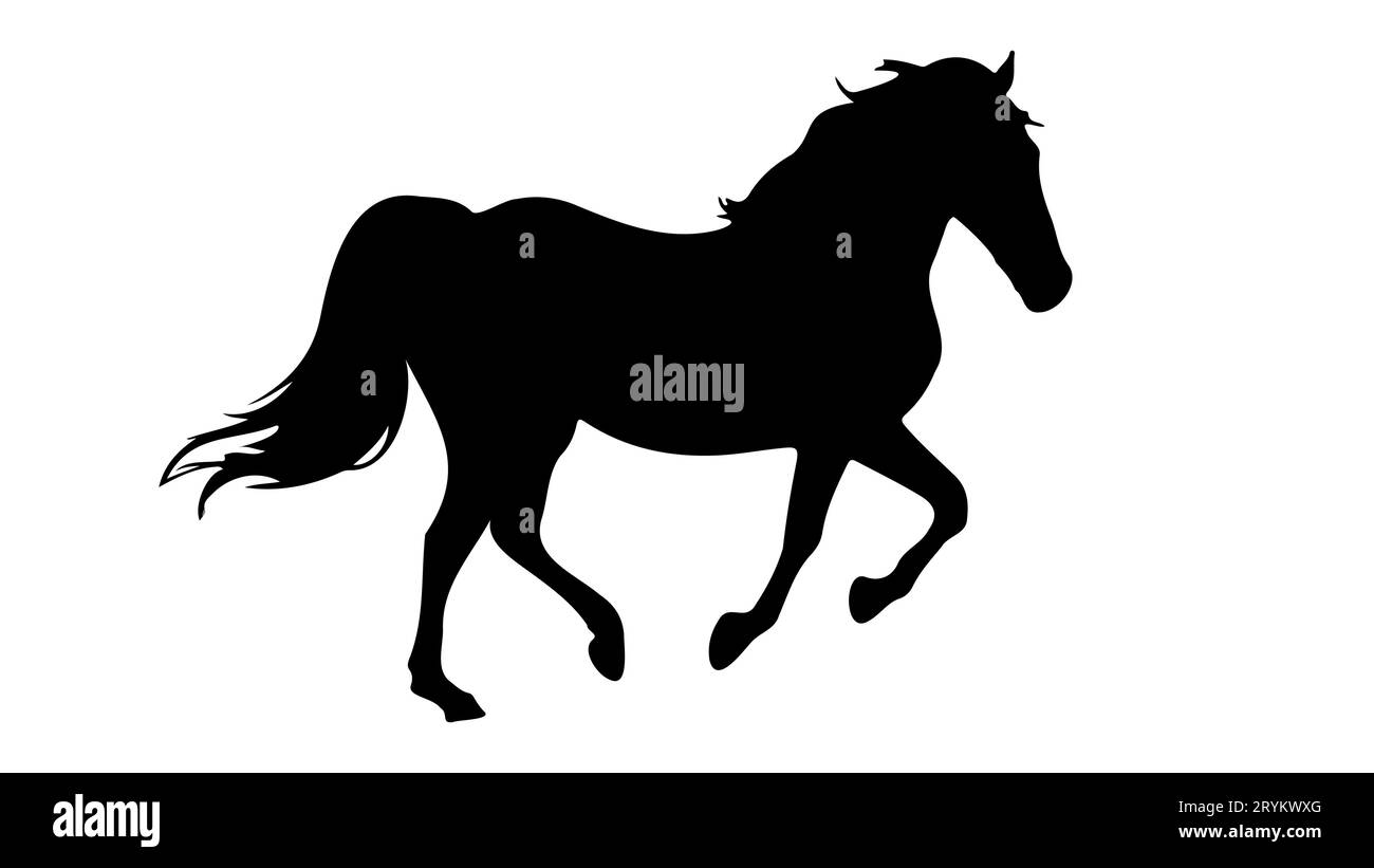 Silhouette nera. Corsa o passeggiate a cavallo o mustang. Vettore isolato su bianco. Zoccoli. Icona, distintivo, emblema. Progettazione per stampa, ippodromo, corse di cavalli, fattoria, allevamento di cavalli, zoo, club equestre Illustrazione Vettoriale