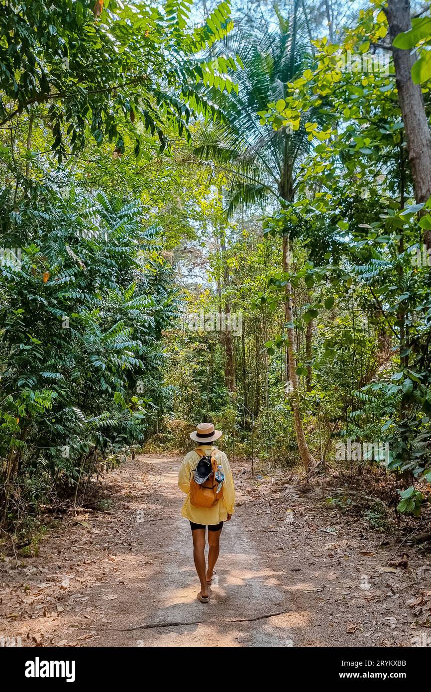 Donne asiatiche con un cappello che camminano nella foresta pluviale, camminano nella giungla in Thailandia a Krabi Foto Stock