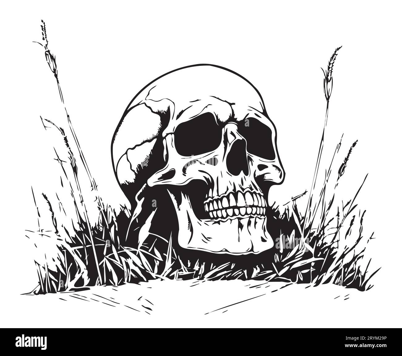 Teschio umano in erba disegnato a mano Vector Death Day Illustrazione Vettoriale