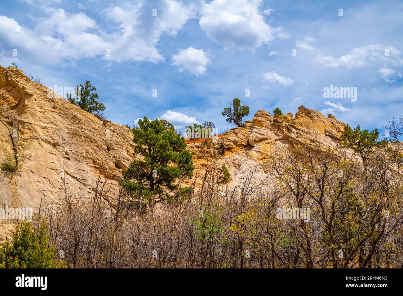 Paesaggio roccioso di Colorado Springs, Colorado Foto Stock