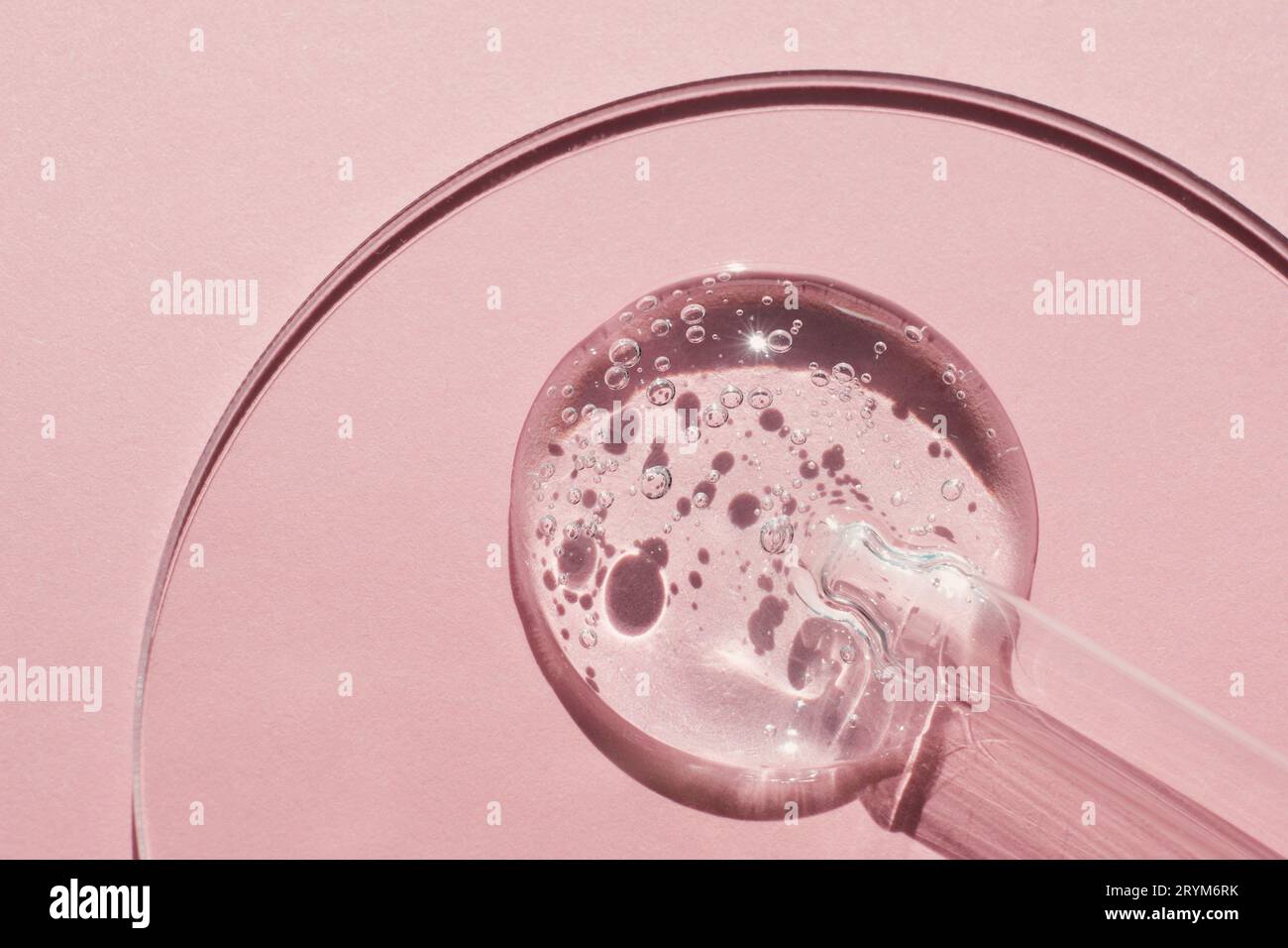 Pipettare con un campione di gel di prodotto cosmetico in capsula di Petri su sfondo rosa, ombre dure Foto Stock