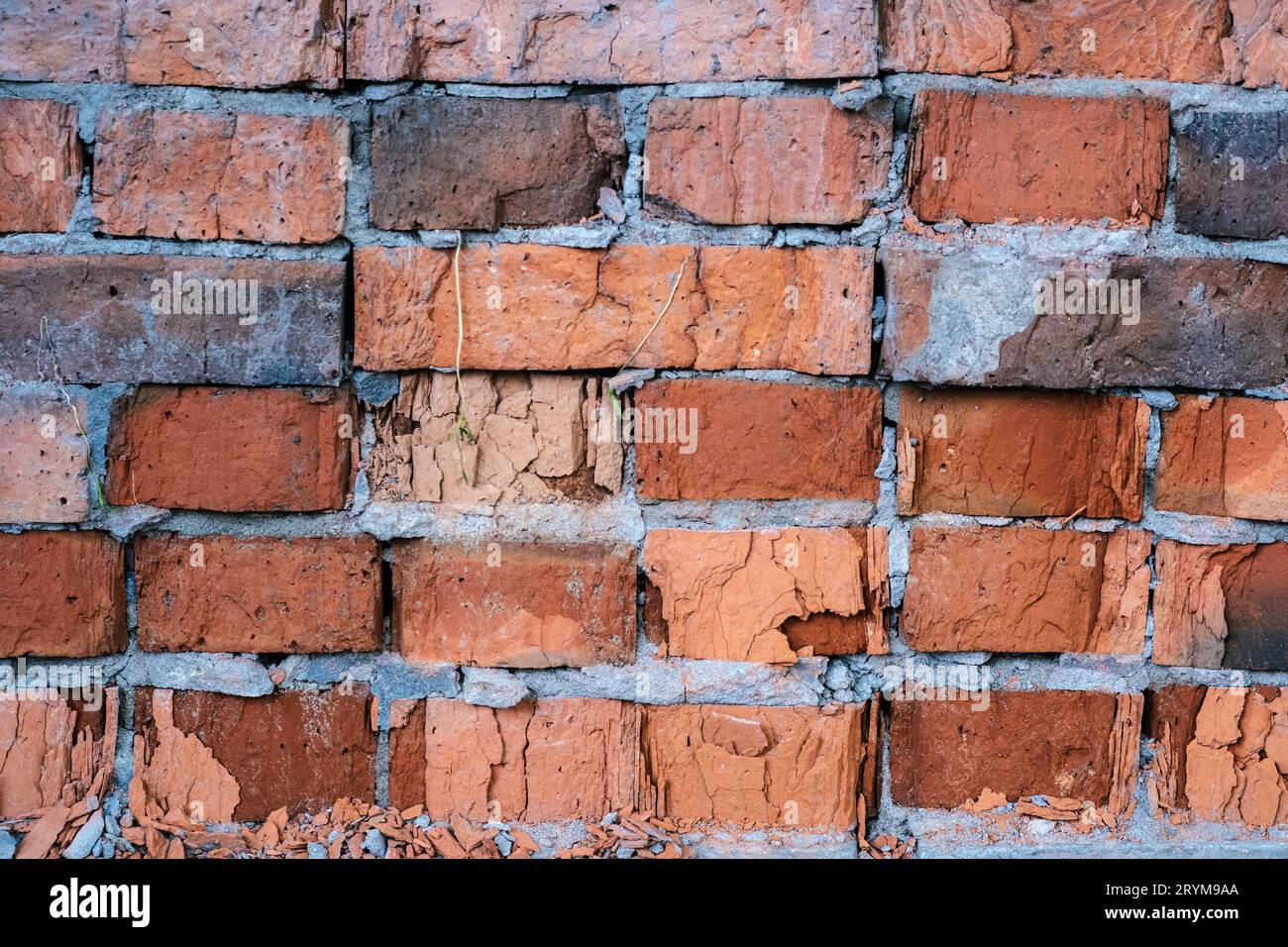 La consistenza del vecchio muro di mattoni in primo piano. Foto Stock