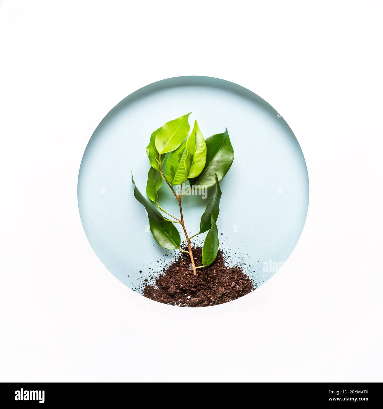 Concetto di giornata mondiale dell'ambiente. Layout creativo del foro rotondo per carta con terra, ramoscello verde e sfondo blu. Giorno della Terra Foto Stock