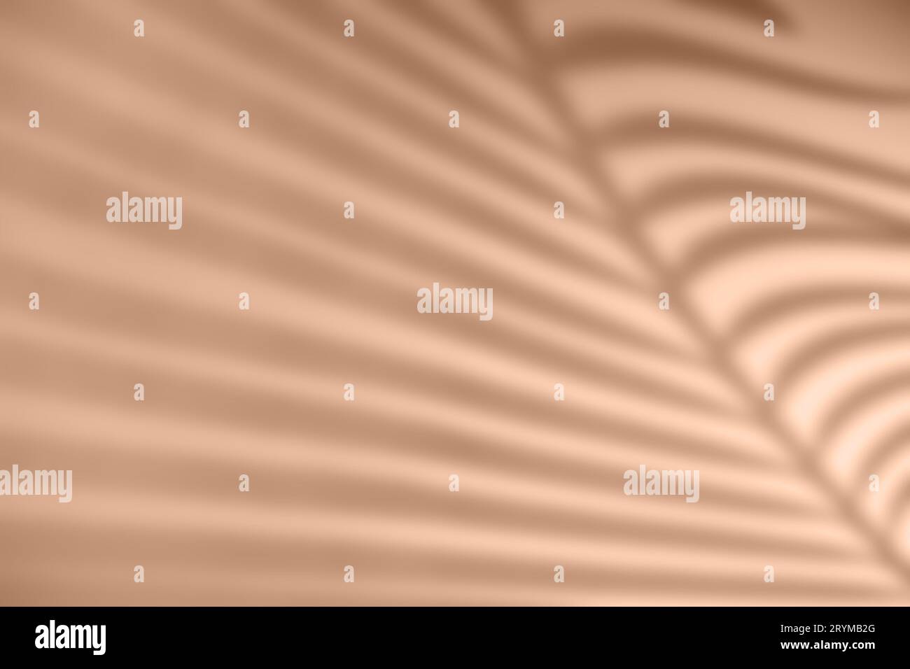 Ombra della foglia di palma su sfondo con colori naturali della terra. Disegno creativo di luci e ombre per il tuo design Foto Stock