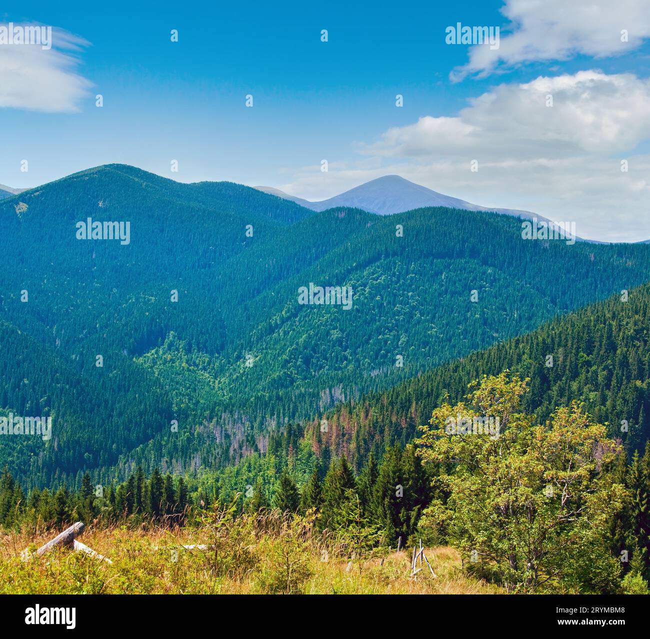 Estate paesaggio di montagna Foto Stock
