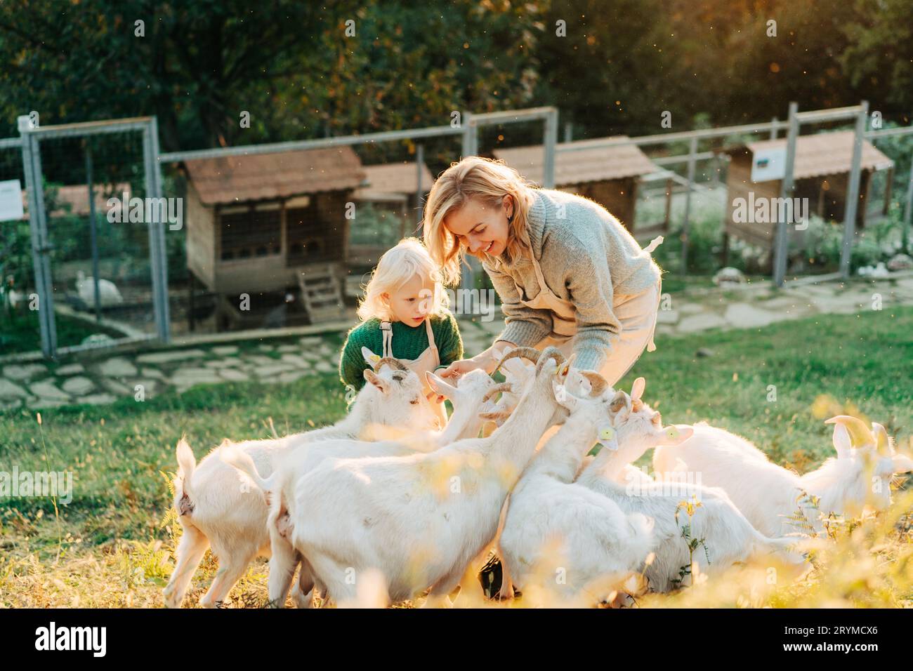 Mamma e bambina nutrono e si preoccupano delle capre nella fattoria. Foto Stock