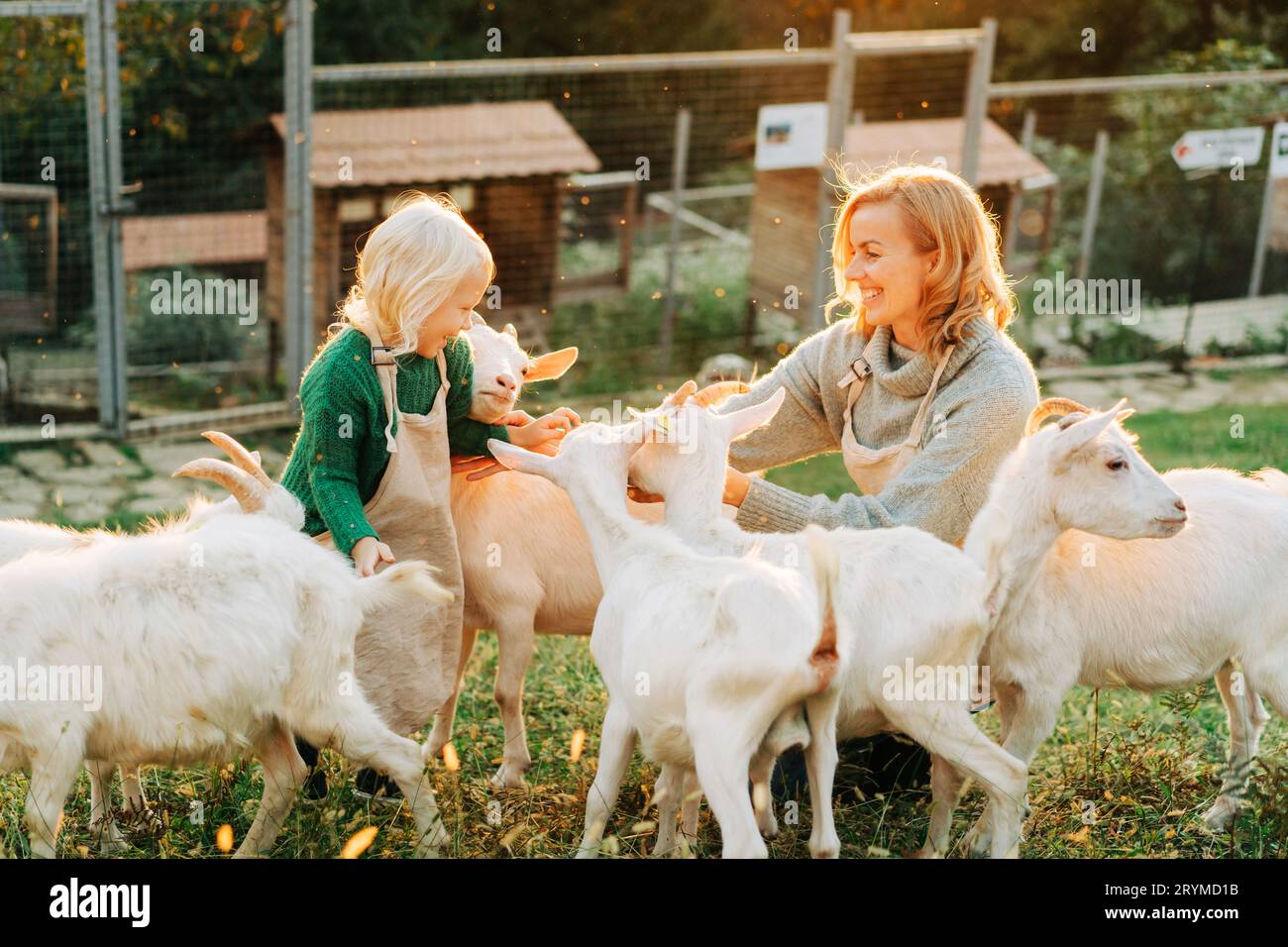 Mamma e bambina sorridenti si nutrono e si preoccupano delle capre in fattoria. Foto Stock