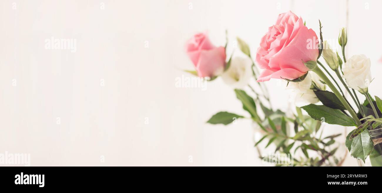 Arredamento fai da te. I vecchi vasi di vetro vengono riutilizzati come vasi di fiori. Formato banner, spazio di copia Foto Stock