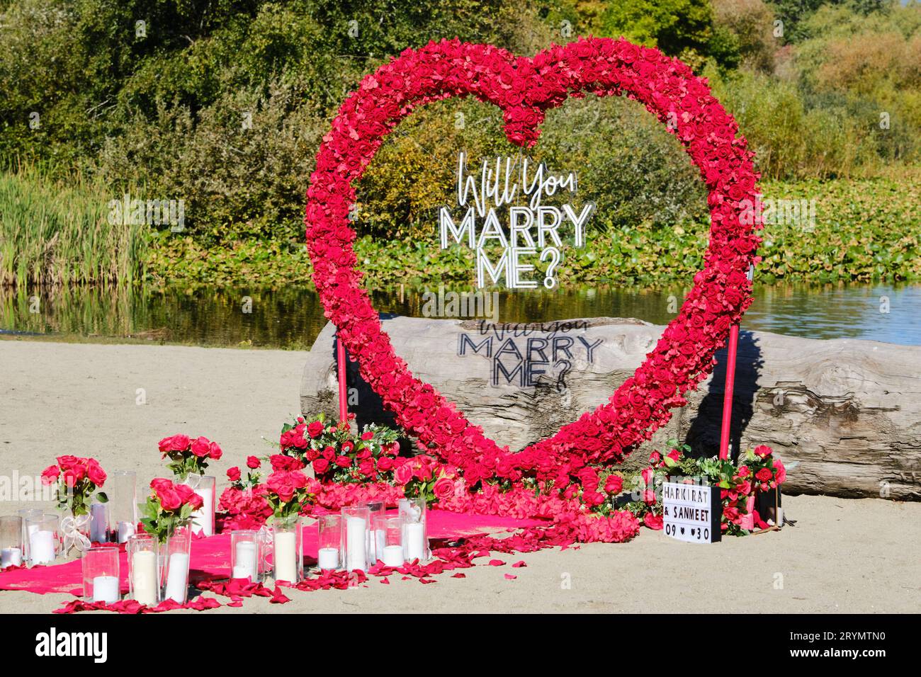 Mi sposerai, esposizione di fiori di cuore su una spiaggia di Vancouver Foto Stock
