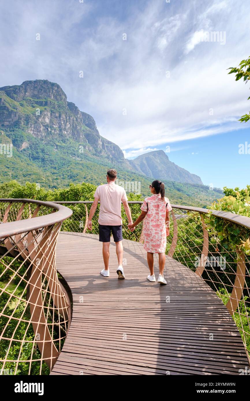 Sentiero Boomslang nel giardino botanico Kirstenbosch a città del Capo, ponte a baldacchino in Sudafrica Foto Stock