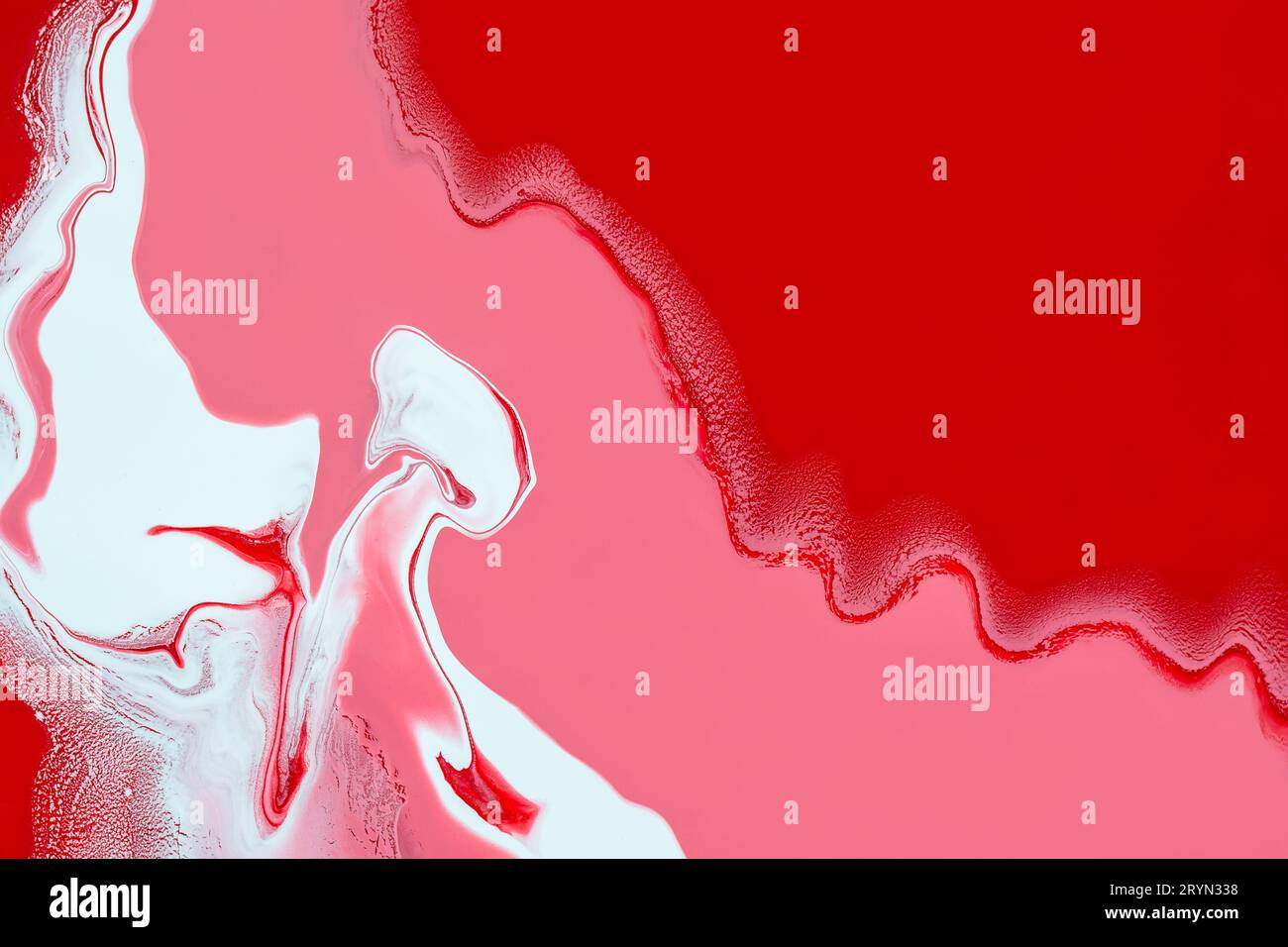 Liquido acrilico art. Crea ricci bianchi e onde rosse rosa. Sfondo o trama a spirale astratta Foto Stock