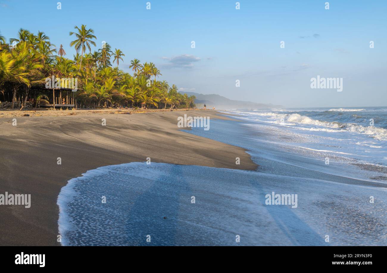 Splendida spiaggia caraibica. Spiaggia di Costeno sulla costa caraibica della Colombia Foto Stock