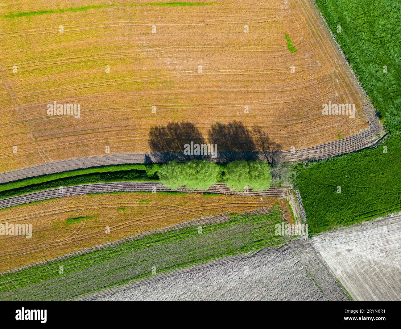 Vista a volo d'uccello dell'area agricola astratta e dei verdi campi ondulati nelle giornate di sole. Fotografia aerea, scatto con drone dall'alto. Essere Foto Stock