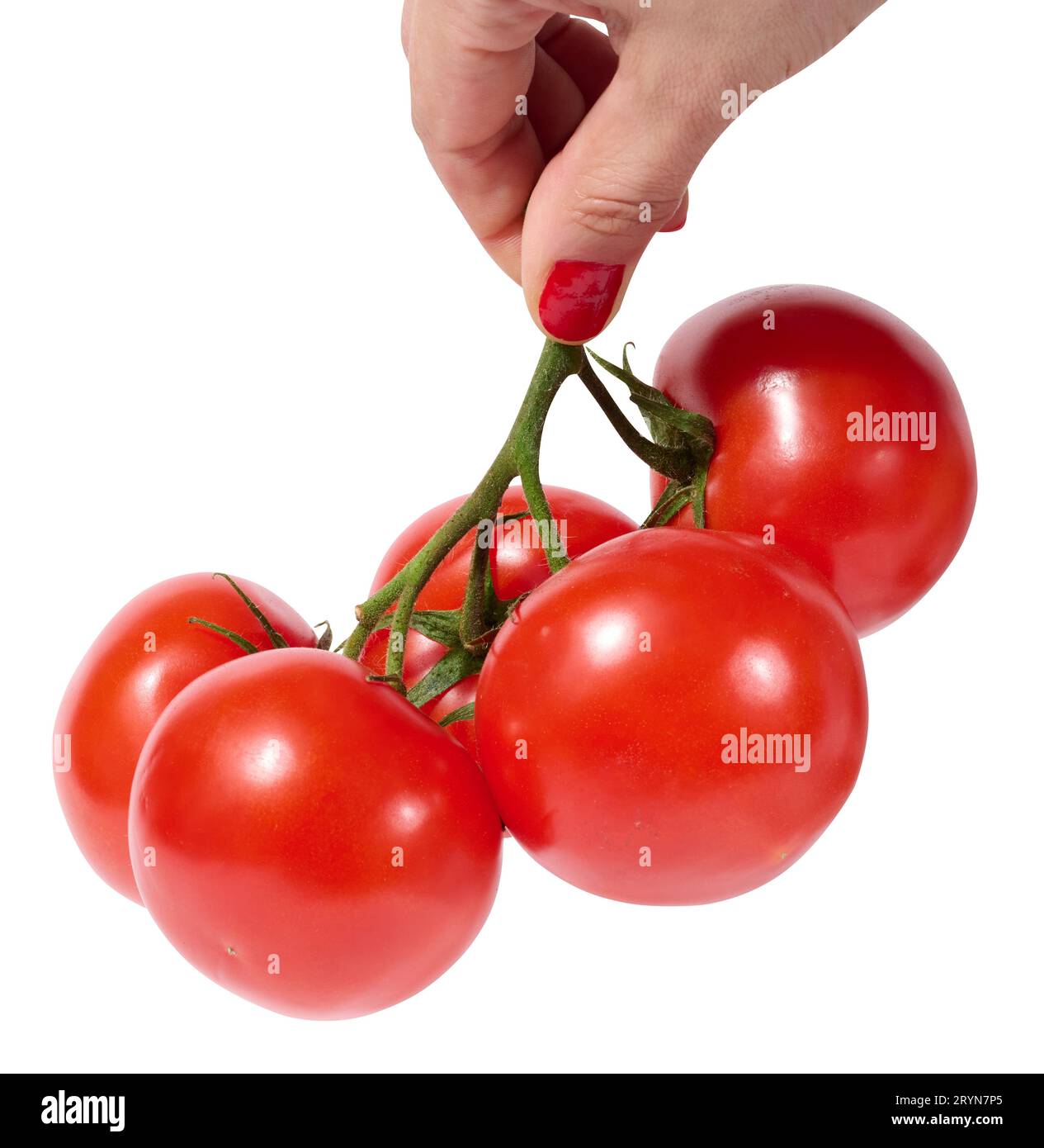Pomodori rossi maturi su un ramo verde su sfondo bianco, verdure sane Foto Stock