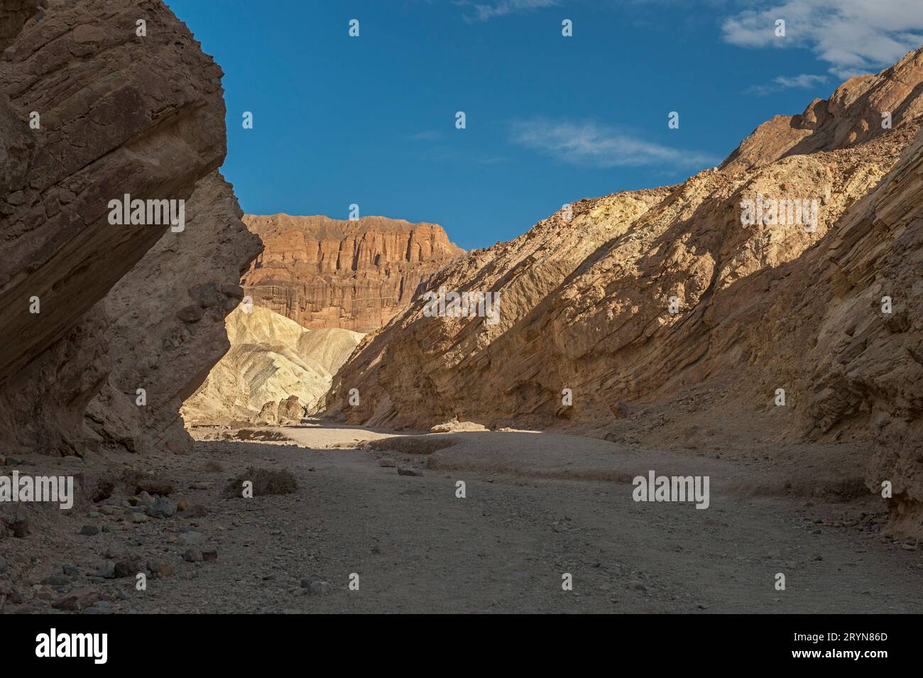 Golden Canyon nel Death Valley National Park. La Cattedrale Rossa è sullo sfondo. Questo punto è a circa 30 metri sotto il livello del mare. Foto Stock