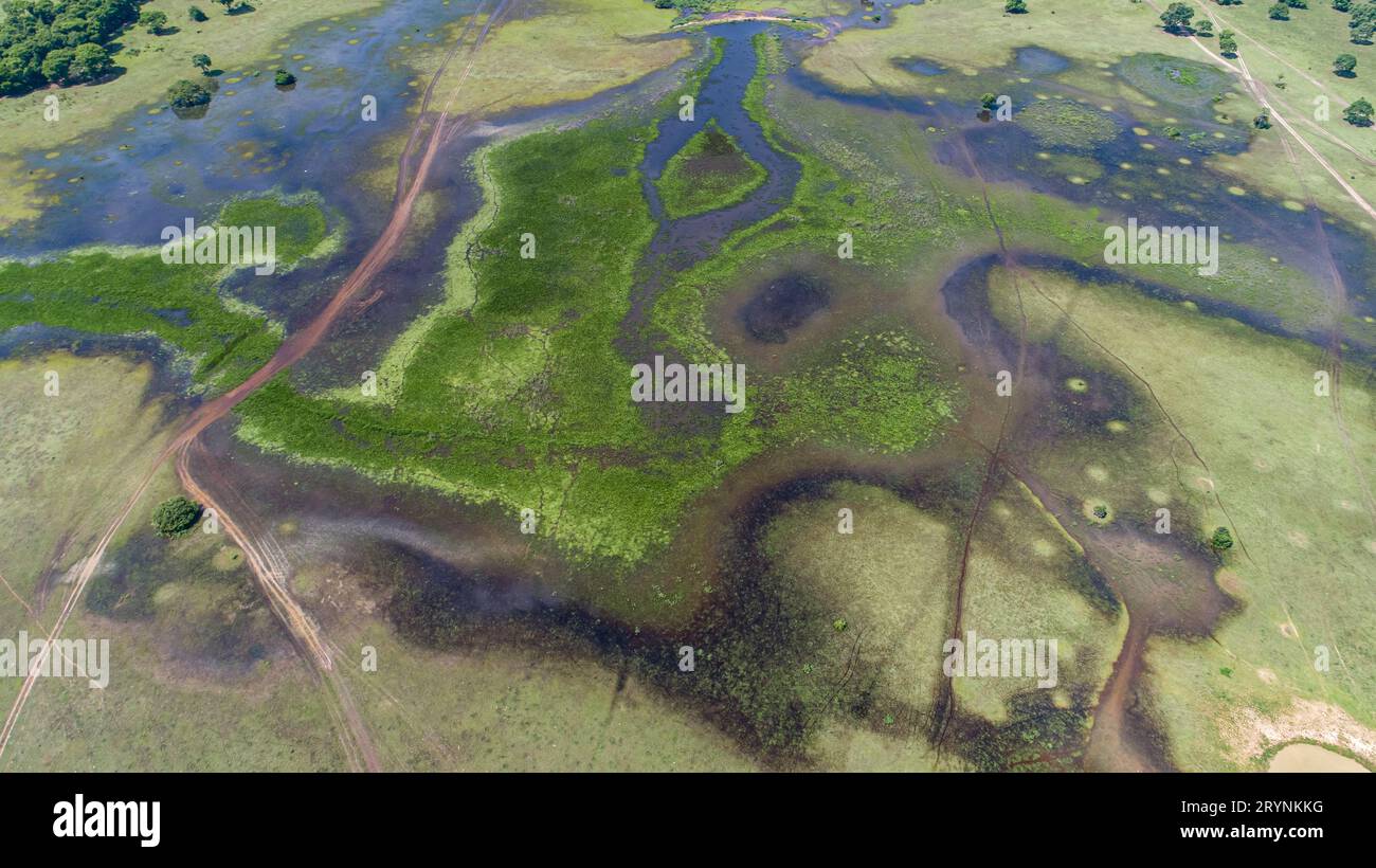 Incredibile vista aerea del tipico paesaggio paludoso del Pantanal attraversato da strade sterrate con lagune e fiume Foto Stock