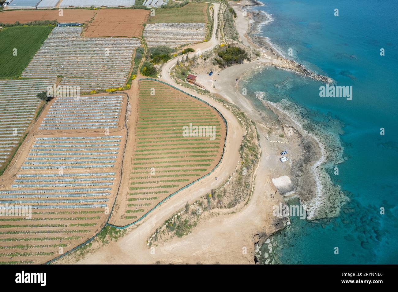 Vista aerea con droni delle serre in fila, ricoperte da una pellicola trasparente di frutta e verdura in crescita. Coltivazione alimentare fa Foto Stock